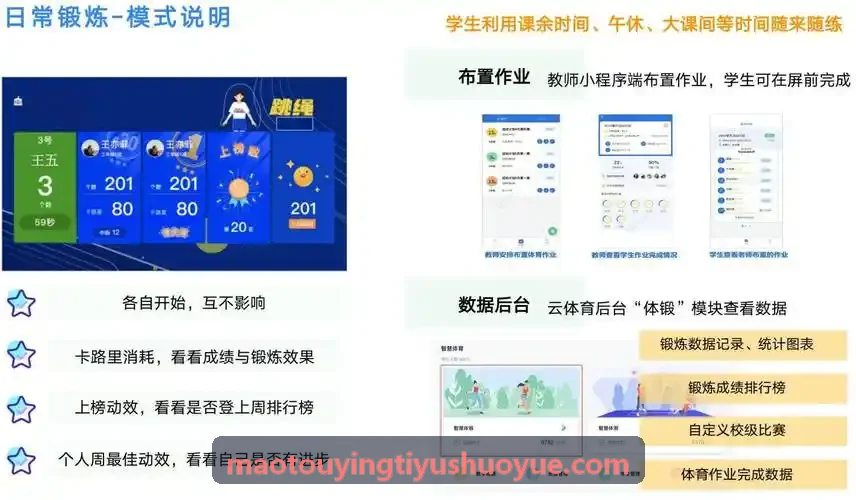 猫头鹰体育-运动鞋服全渠道一盘货库存周转优化